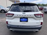 Used 2020 Ford Escape SE image 6