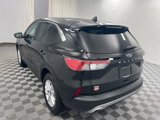 Used 2022 Ford Escape SE w/ Convenience Package image 6