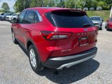 Used 2023 Ford Escape Active w/ Tech Pack #1 image 3