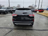 Used 2022 Ford Escape SE image 4