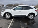 Used 2022 Ford Escape SE w/ Convenience Package image 4