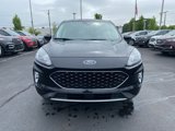 Certified 2022 Ford Escape SEL image 2