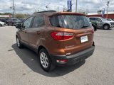 Used 2020 Ford EcoSport SE image 5