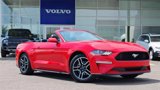 Used 2022 Ford Mustang Premium image 2