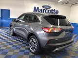 Certified 2022 Ford Escape SEL image 3