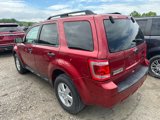 Used 2012 Ford Escape XLT image 4