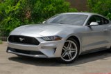 Used 2019 Ford Mustang Coupe w/ Ecoboost Performance Package image 5
