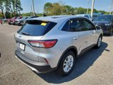 Certified 2020 Ford Escape SE image 3