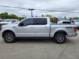 Certified 2019 Ford F150 XLT w/ Equipment Group 302A Luxury image 2