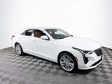 Certified 2023 Cadillac CT4 Premium Luxury image 3