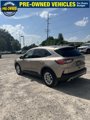Used 2020 Ford Escape SE image 4