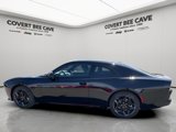New 2025 Dodge Charger R/T w/ Quick Order Package 25M R/T image 6