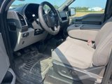 Used 2016 Ford F150 XLT w/ Equipment Group 302A Luxury image 6