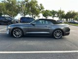 Used 2019 Ford Mustang Premium w/ Equipment Group 201A image 6