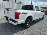 Used 2019 Ford F150 XLT w/ Equipment Group 302A Luxury image 3