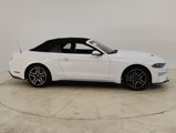 Used 2019 Ford Mustang Premium image 2