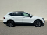 Used 2019 Volkswagen Tiguan SE w/ Panoramic Sunroof Package image 3