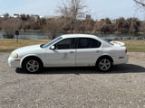 Used 2000 Nissan Maxima GLE image 4