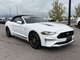 Used 2020 Ford Mustang Premium w/ Equipment Group 201A image 2