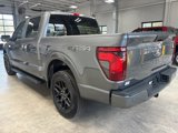 Used 2024 Ford F150 STX image 5