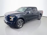 Used 2016 Ford F150 XLT w/ Equipment Group 302A Luxury image 4