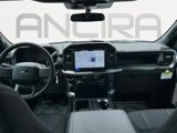 New 2025 Ford F150 STX w/ Equipment Group 200A image 2