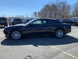 New 2025 Dodge Charger R/T w/ Quick Order Package 25M R/T image 2