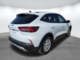 New 2025 Ford Escape Active w/ Cold Weather Package image 5