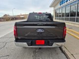 New 2024 Ford F150 XLT w/ Equipment Group 302A MID image 4
