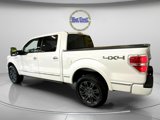 Used 2010 Ford F150 Platinum image 5