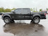 Used 2011 Ford F150 FX4 w/ FX Luxury Pkg image 2