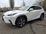 Certified 2020 Lexus NX 300 AWD w/ Premium Package image 3