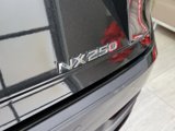 Used 2025 Lexus NX 250 FWD image 5