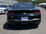 New 2025 Ford Mustang Coupe image 6