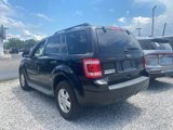 Used 2011 Ford Escape XLT w/ 202A Rapid Spec Order Code image 6