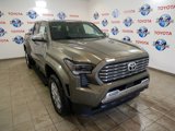 New 2025 Toyota Tacoma Limited image 3