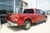 Used 2016 Ford F150 XLT w/ Equipment Group 302A Luxury image 3