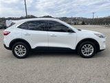 Used 2022 Ford Escape SE w/ Cold Weather Package image 5
