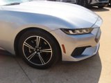 Used 2024 Ford Mustang Coupe image 5