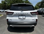 Used 2020 Ford Escape SEL image 5