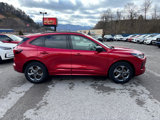 Used 2024 Ford Escape ST-Line image 4