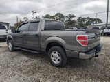 Used 2013 Ford F150 XLT image 6