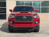 Used 2020 Toyota Tacoma TRD Sport image 2