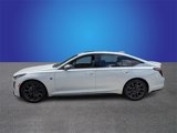 Used 2020 Cadillac CT5 Sport w/ Parking Package image 2