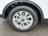 New 2025 Ford Escape Active w/ Tech Pack #1 image 5