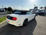 Used 2023 Ford Mustang Premium image 5
