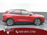 Used 2020 Ford Escape SEL image 2