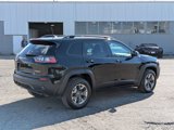 Used 2019 Jeep Cherokee Trailhawk w/ Comfort/Convenience Group image 5