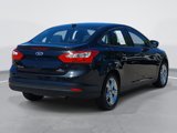 Used 2013 Ford Focus SE w/ SE Winter Pkg image 5