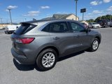 Used 2022 Ford Escape SE w/ Convenience Package image 4